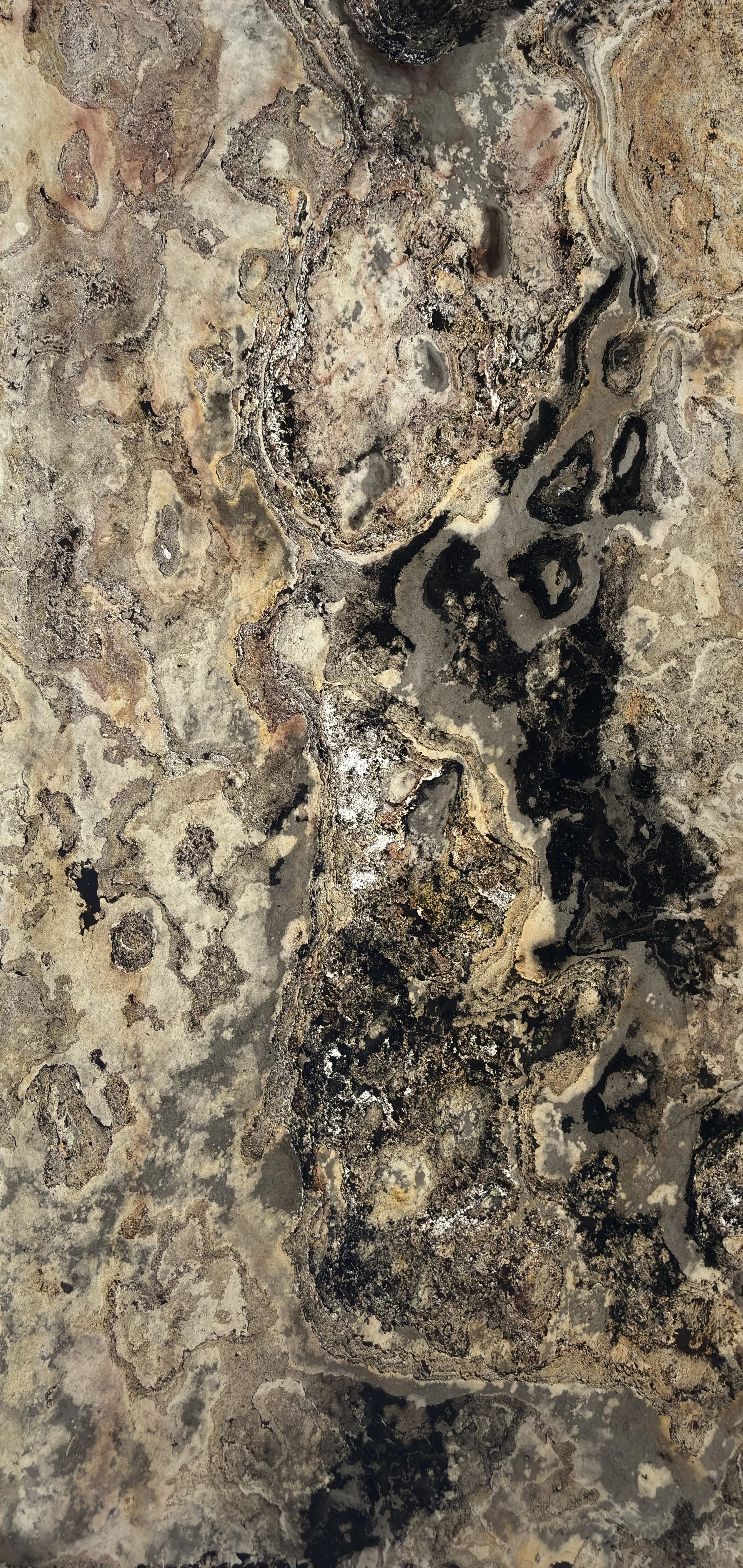 Translucent Flexible Stone Veneer